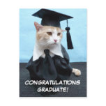 Congratulations Graduate! postcards
