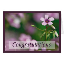 Congratulations - Pink Wood Sorrel Greeting Card