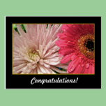 congratulations postcards