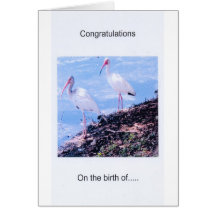 Congratulations-Twins Greeting Card