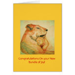 CongratulationsOnYourNewBundleOfJoy Greeting Card