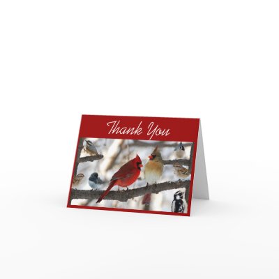 Congregating Birds Cards by ladymydonna