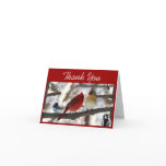 Congregating Birds cards