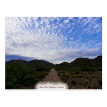 Congress Arizona Desert Trails Post Cards