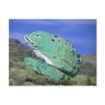 Congress, Arizona Frog Rock Postcard