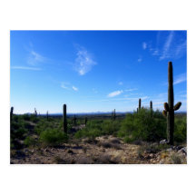 Congress, Arizona Postcard