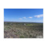 Congress, AZ Post Card