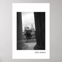 Congress Through Columns Print