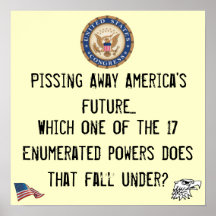 Congressional powers poster