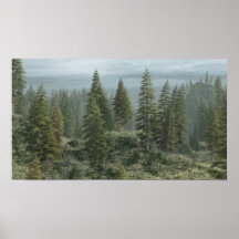 Conifer Forest Posters