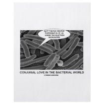 Conjugal Love In The Bacterial World