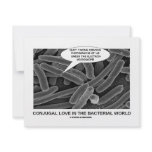 Conjugal Love In The Bacterial World