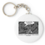 Conjugal Love In The Bacterial World