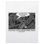Conjugal Love In The Bacterial World letterhead