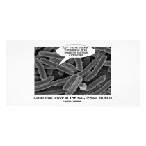Conjugal Love In The Bacterial World