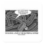 Conjugal Love In The Bacterial World (Photograph)