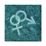 Connected Male and Female Symbols Magnet 025
