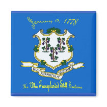 Connecticut Flag Magnet
