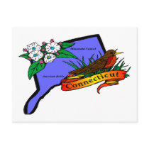 Connecticut Post Cards