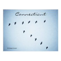 Connecticut Postcard