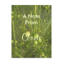 Connie Postcards