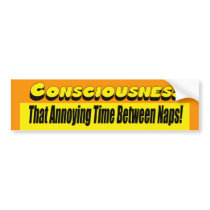 Consciousness Bumper Sticker