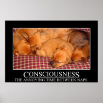 Consciousness: the annoying time between naps (L)