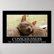 Consciousness: the annoying time between naps (S)