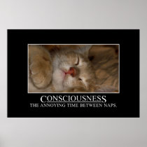 Consciousness: the annoying time between naps [XL]