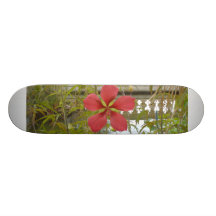 conseil de wahini skateboards personnalisés