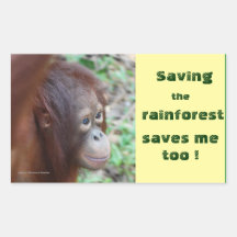 Conservation: Great Apes and Rain Forest Stickers