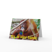 Conservation - in Your Hands