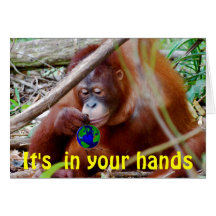 Conservation - in Your Hands Card