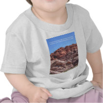 Conservationist Tees
