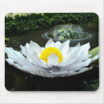 Conservatory Pond Lily Mouse Pads