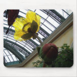 Conservatory Yellow Flower Mouse Mat