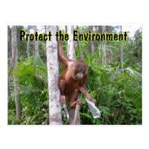 Conserve Nature Post Card