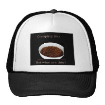 Conspiracy Bits Hat