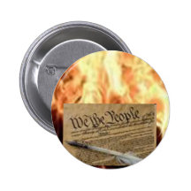 Constitution Pin