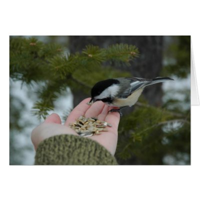 Contact Card by BaetzStudios