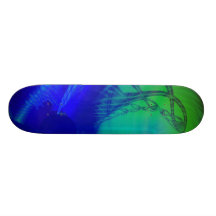 Contact Skate Board