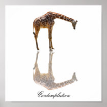 CONTEMPLATION 2 PRINT