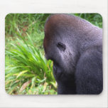 Contemplation Mouse Mats