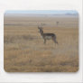 Contemplative Antelope Mouse Pad