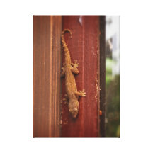 "Content" Stretched Canvas Prints