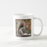 Contented Squirrel Mug