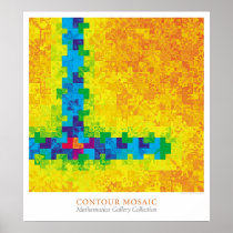 Contour Mosaic Posters