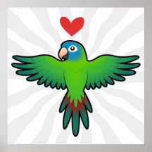Conure / Lorikeet / Parrot Love Posters
