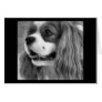 Cookie Greeting Card