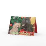 Cookie & Ginger Celebrate Christmas Greeting Card